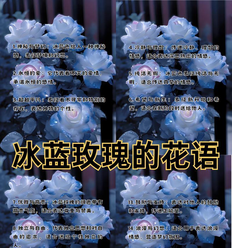 玫瑰花冰蓝怎么养殖？养殖过程中有哪些特别的技巧？