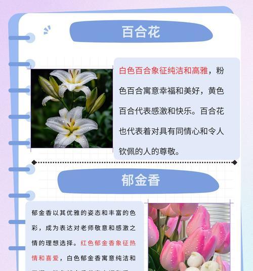 送花语代表什么寓意呢女生？女生收到花语有何感受？