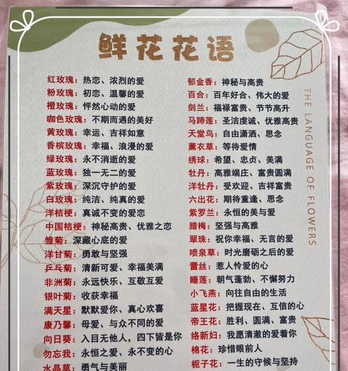 友情的花语代表花是什么？如何选择友情之花？