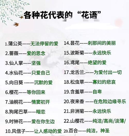 淡淡花语表达的是什么？它的含义是什么？