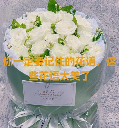 淡淡花语表达的是什么？它的含义是什么？