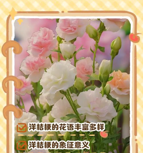 三色巴黎的花语是什么呢？三色巴黎花束传递了哪些情感？