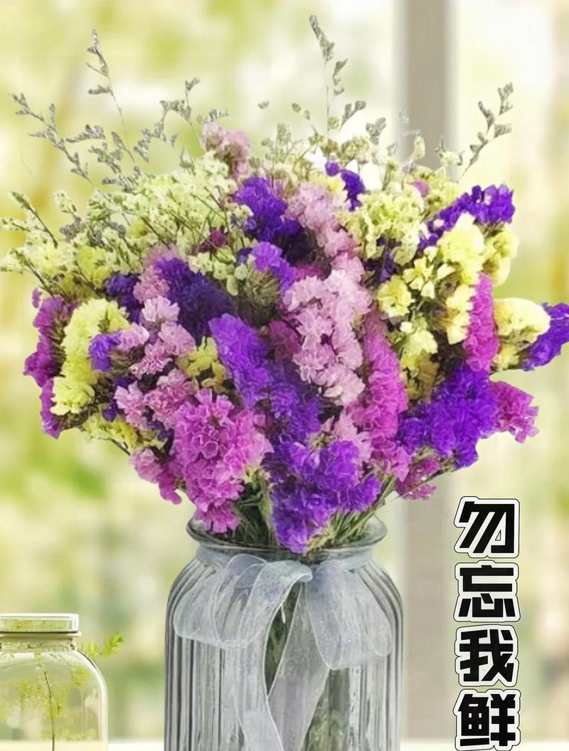 海蓝之谜鲜花的花语是什么？