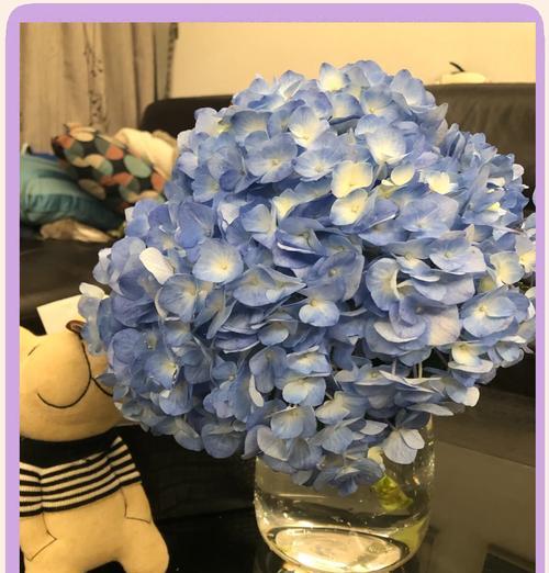 开挂的红针花语是什么意思？这种花语有何深意？