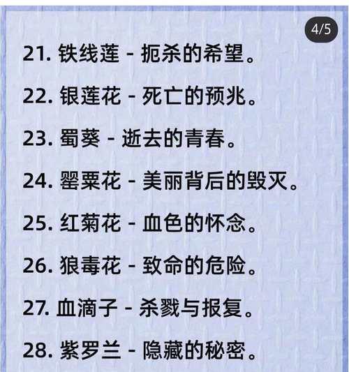 开挂的红针花语是什么意思？这种花语有何深意？