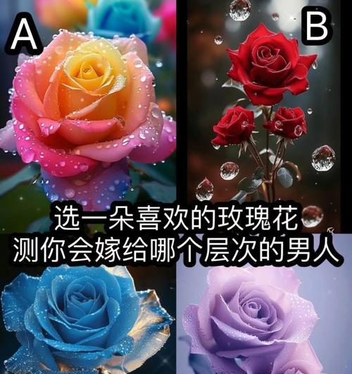 送情侣玫瑰花颜色有何含义？不同颜色的玫瑰花代表什么情感？
