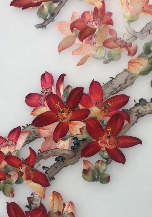 木棉花在立夏时节的花语有何特别之处？