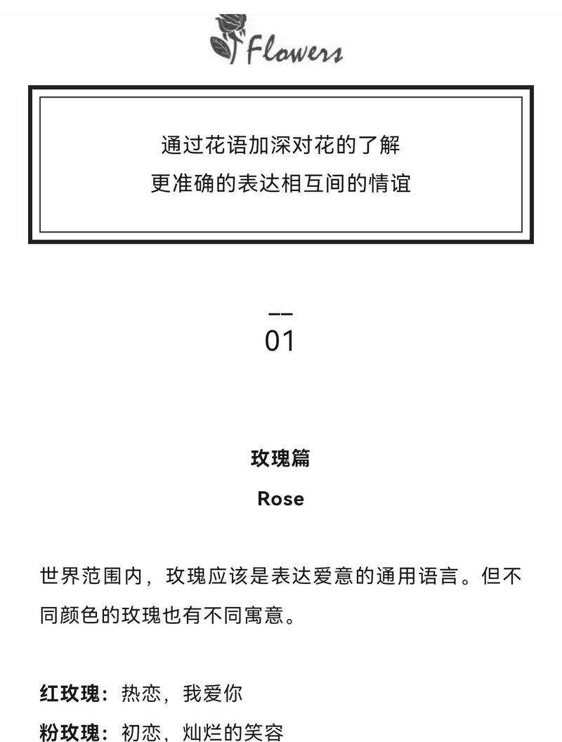 韩国花店中哪种花的花语最受欢迎？它代表了什么？
