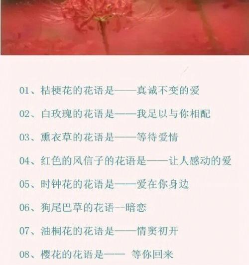 你不知道花语是什么？花语背后隐藏了哪些秘密？