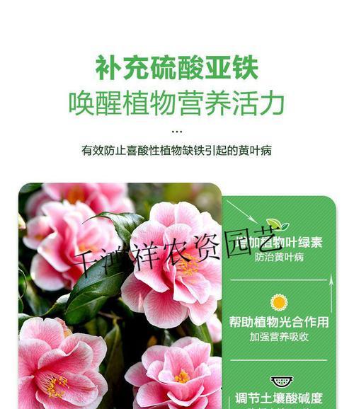 柠檬酸浇花的好处是什么？使用方法和注意事项有哪些？