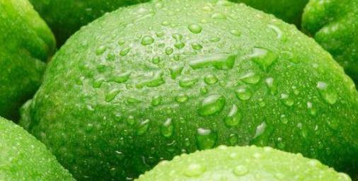 柠檬种植时应该多浇水还是少浇水？