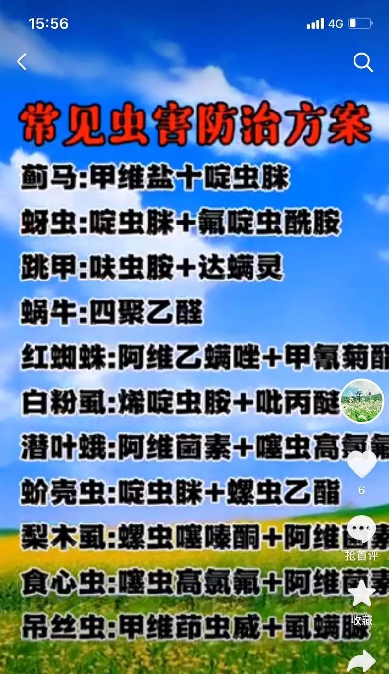 柠檬叶有哪些神奇功效？如何正确食用柠檬叶？