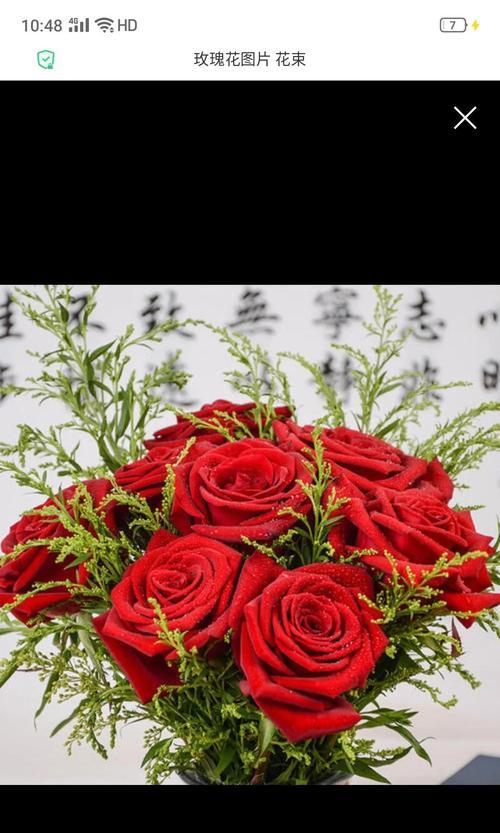 象征着初恋的花语是什么花？初恋的花语有哪些？
