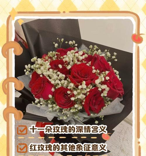 粉红玫瑰花11朵的花语是什么？它传递了哪些情感？