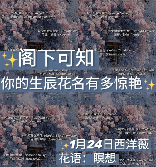 哪种花的花语象征和解与和好？