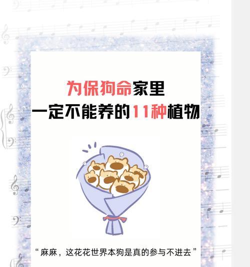 红苕花语与哪种动物相关？倔强的花语有何深意？