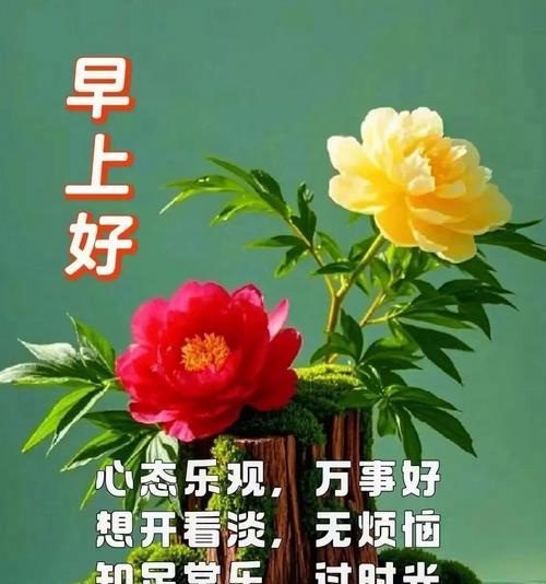 哪种花代表祝福的花语？祝福的花语有哪些？
