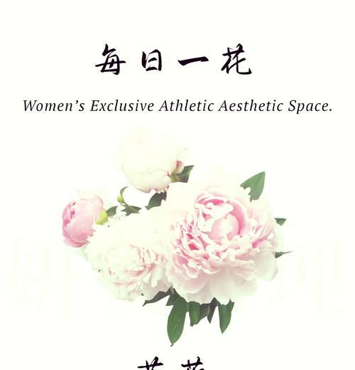 重磅芍药的花语有何深意？