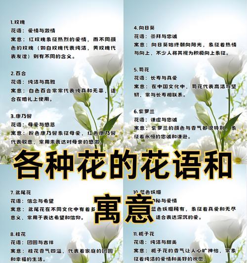 姐妹友谊花语是什么？姐妹友谊的花语有哪些？