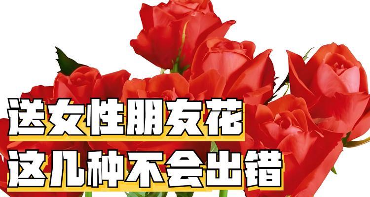 永恒幸福花语有何寓意？如何传达深情？