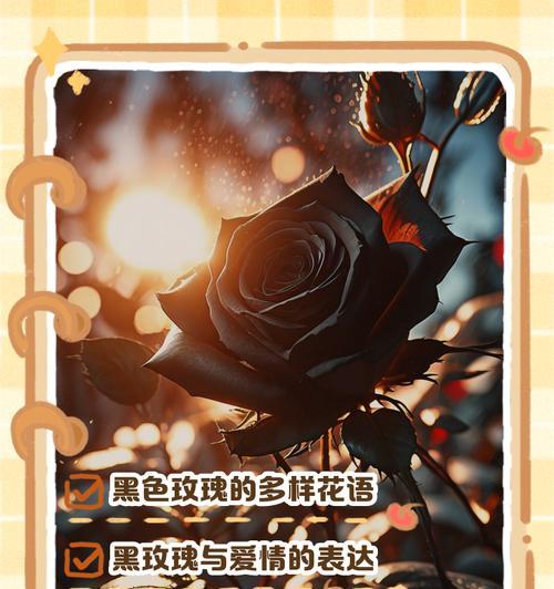 欧巴点评的玫瑰花语是什么？它代表了什么？