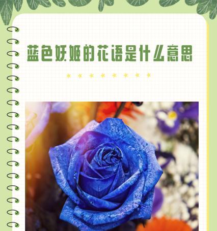 草籽花的别名和花语代表了什么？