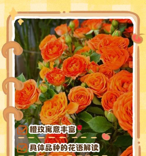 十朵多头玫瑰的花语是什么？它传递了怎样的信息？