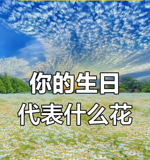 6月三十生日花语是什么？它代表了什么？
