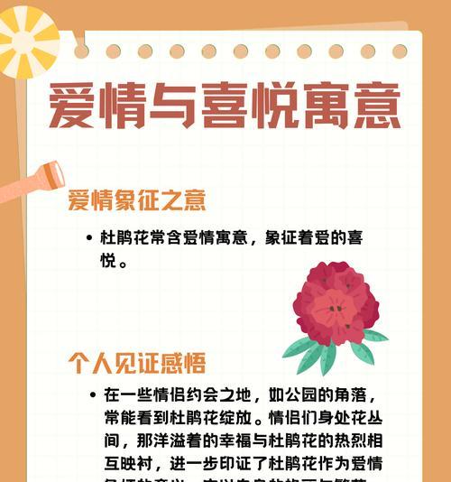 遗憾植物的花语是什么？它们代表的含义是什么？