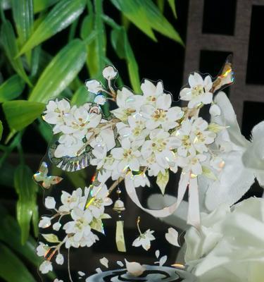 白花枝的花语代表什么？