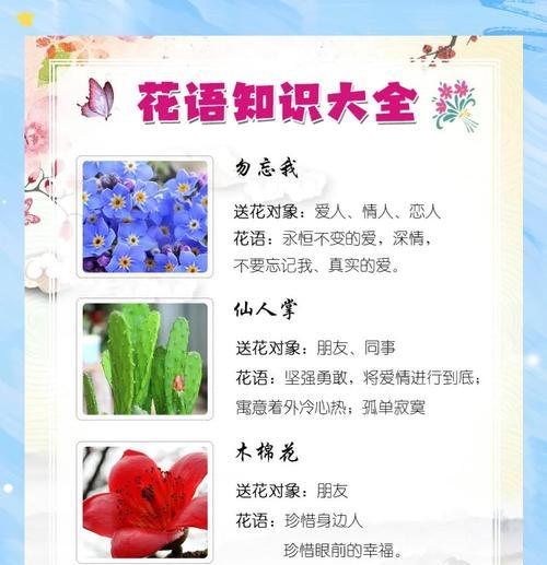 美丽木棉的花语有何特殊含义？