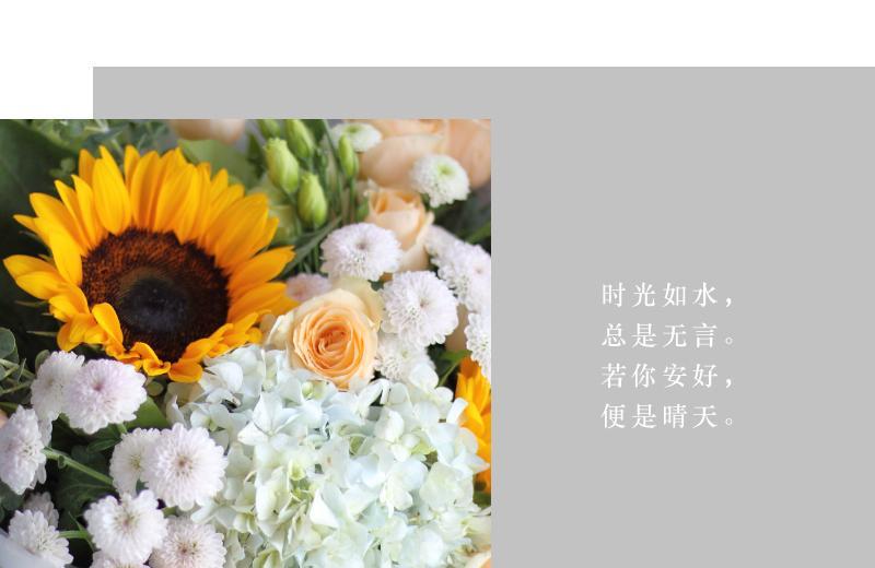 皱菊的花语代表了什么？