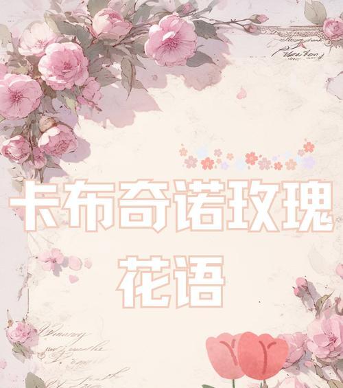 永不相遇的爱的花语是什么？这种花语背后的故事是什么？