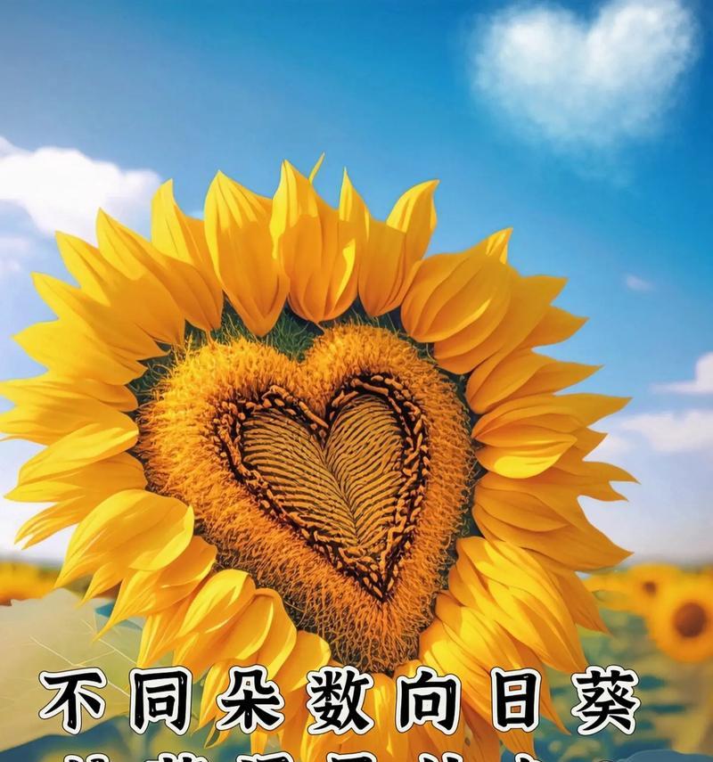 植物和僵尸的花语是什么？它象征着怎样的对抗？