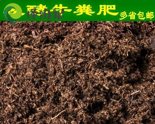 牛粪适合种什么菜？哪些蔬菜能从牛粪中获益最多？