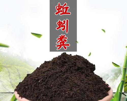 牛粪适合种什么菜？哪些蔬菜能从牛粪中获益最多？