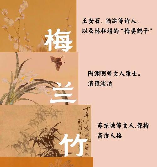 植物和僵尸的花语是什么？它象征着怎样的对抗？