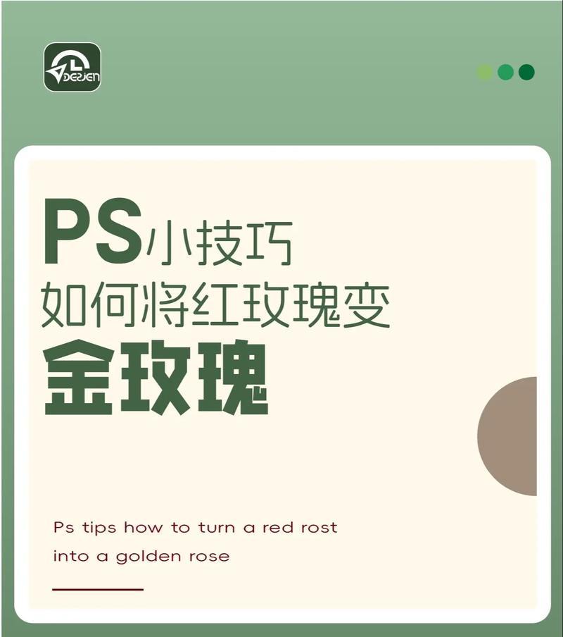 半红半金玫瑰传递了哪些花语？