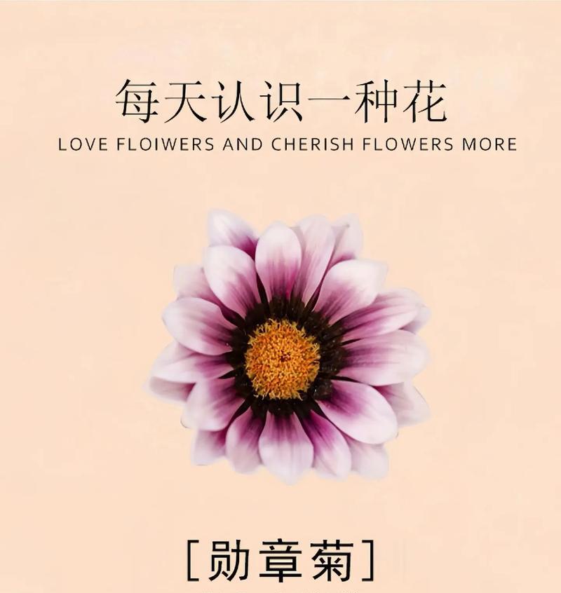 哪种花代表开心快乐？开心花语的花卉有哪些选择？
