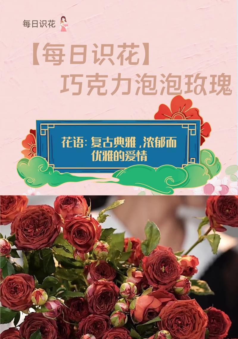 想你了巧克力玫瑰花语是什么？巧克力玫瑰传递了怎样的情感？