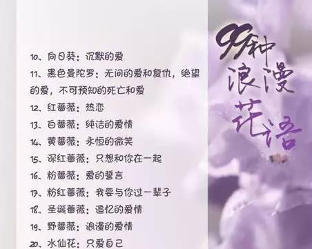 五月十二的花语大全是什么？它包含哪些花的花语？