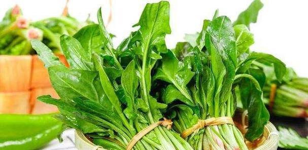 牛奶浇菜真的好吗？浇菜后需要注意什么？