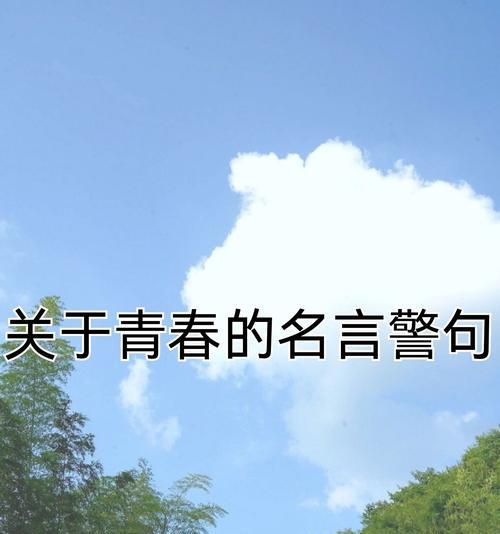 青春高雅的花语有何特别之处？它象征着什么？