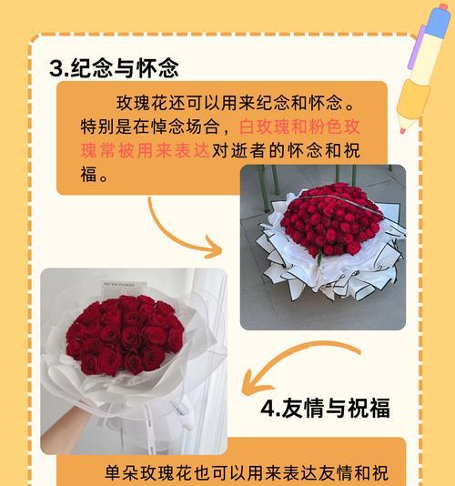 木马玫瑰的花语是什么？它传递了怎样的情感？