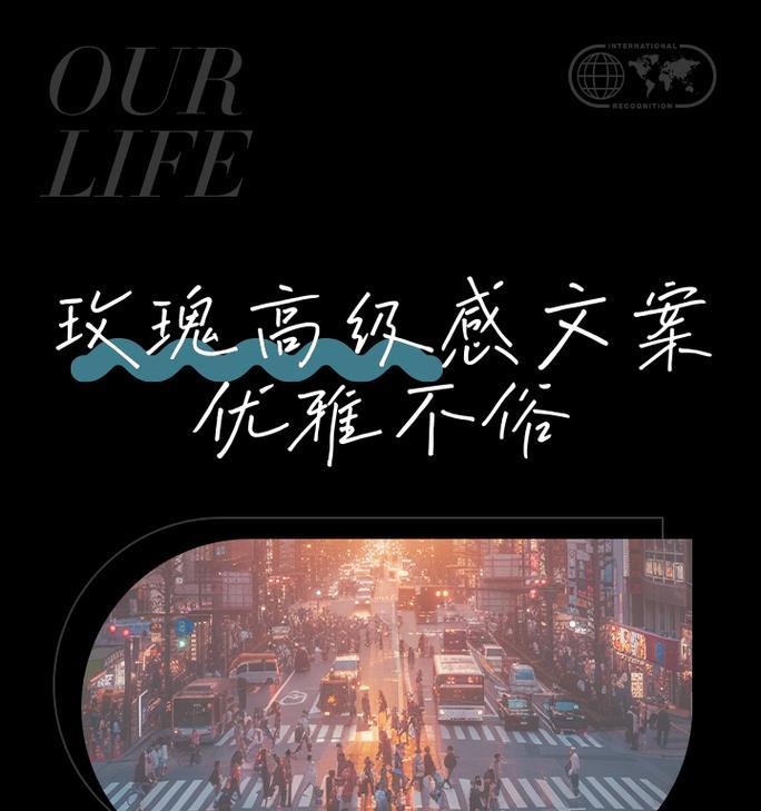 木马玫瑰的花语是什么？它传递了怎样的情感？