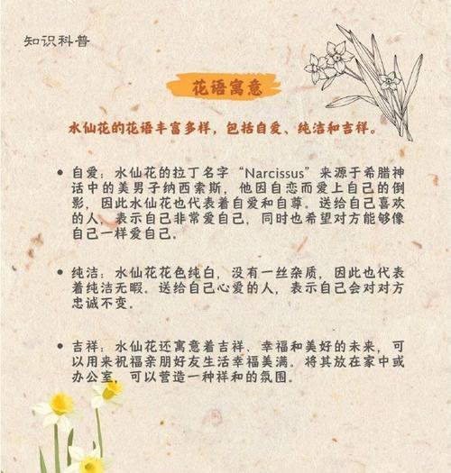 如何通过花语表达自爱？