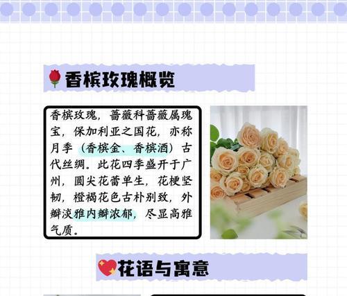 如何通过花语表达自爱？