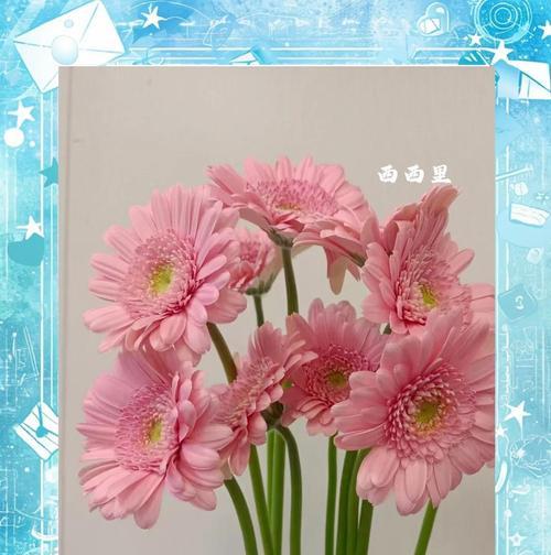 花语互敬互爱代表什么含义？