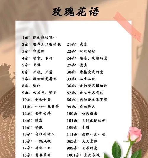 花语互敬互爱代表什么含义？