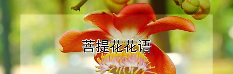 哪种花的花语被认为是不吉利的？